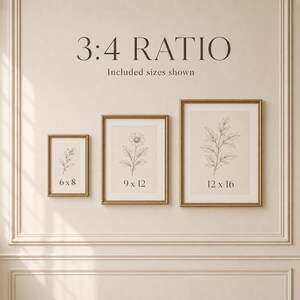 May include: Three gold-framed wall art prints in a 3:4 ratio, featuring botanical line drawings on a beige background. The frames are labeled with sizes 6x8, 9x12, and 12x16 inches, showcasing a flower and leaf illustrations in a clean, organized display.