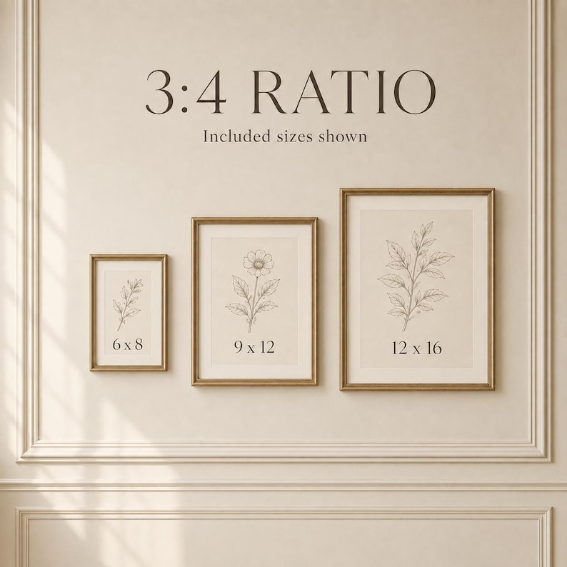 May include: Three gold-framed wall art prints in a 3:4 ratio, featuring botanical line drawings on a beige background. The frames are labeled with sizes 6x8, 9x12, and 12x16 inches, showcasing a flower and leaf illustrations in a clean, organized display.
