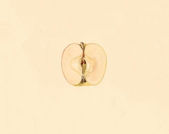 Minimal Vintage Apple Half Print – Antique Botanical Fruit Illustration – Square Kitchen Wall Art
