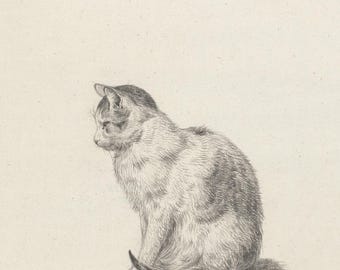 Vintage Cat Sketch Print: Antique Line Art - Farmhouse Cottagecore Wall Decor (Digital Download)