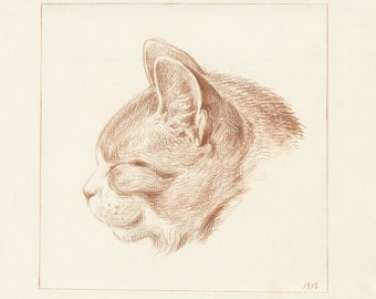 Vintage Cat Illustration Print: Antique Feline Sketch Wall Art (Digital Download)