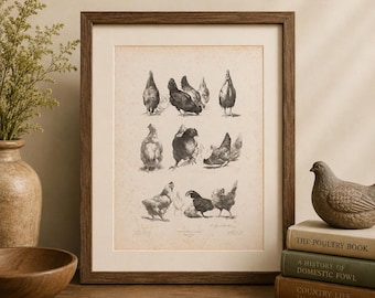 May include: A framed vintage-style print featuring detailed black and white illustrations of various chickens arranged in rows on an aged, off-white paper background, housed in a dark brown wooden frame with a wide cream-colored mat border.