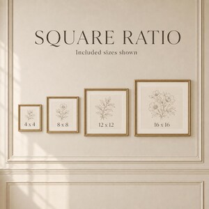 May include: Four gold-toned square frames containing botanical line art prints, arranged horizontally. The text reads SQUARE RATIO Included sizes shown, with labels 4 x 4, 8 x 8, 12 x 12, and 16 x 16 inches printed on the center of each respective frame.