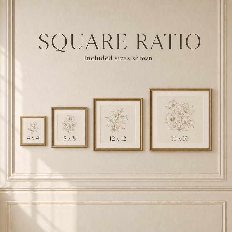 May include: Four gold-toned square frames containing botanical line art prints, arranged horizontally. The text reads SQUARE RATIO Included sizes shown, with labels 4 x 4, 8 x 8, 12 x 12, and 16 x 16 inches printed on the center of each respective frame.