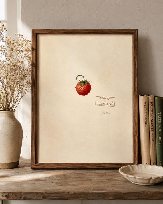 Strawberry Illustration - Division of Illustrations USDA stamp