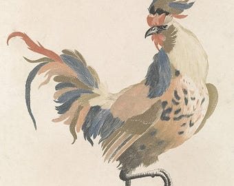 Vintage Rooster Print – Colorful Farmhouse Poultry Wall Art, Rustic Country Kitchen Decor