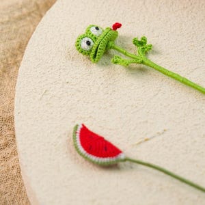 Handgemachtes gehäkeltes Lesezeichen, Mikro gehäkeltes Lesezeichen, Wassermelone Frosch Lesezeichen, handgemachtes Geschenk für Leser, Geschenk für Buchliebhaber