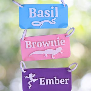 Peut inclure: Trois étiquettes rectangulaires en plastique avec des anneaux blancs. L'étiquette supérieure est bleu clair avec le texte blanc Basil et une icône de serpent. L'étiquette du milieu est rose avec le texte blanc Brownie et une icône de lézard. L'étiquette inférieure est violette avec le texte blanc Ember et une icône de grenouille.