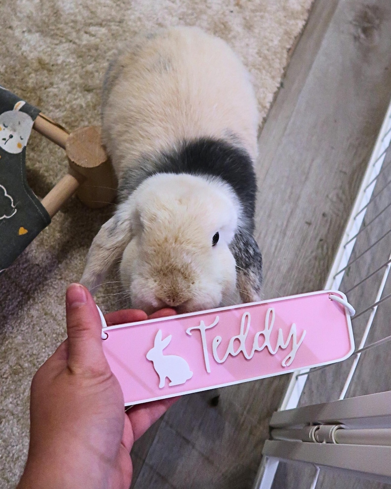 Name Sign For Rabbit Custom Rabbit Name Tag for Pet Bunny - Etsy