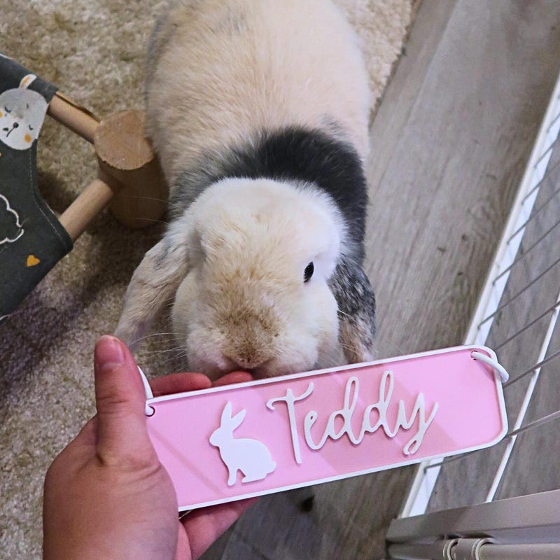 🎁 Custom Rabbit Name Tag For Pet Bunny, Personalized Engraved Pet ID Tag