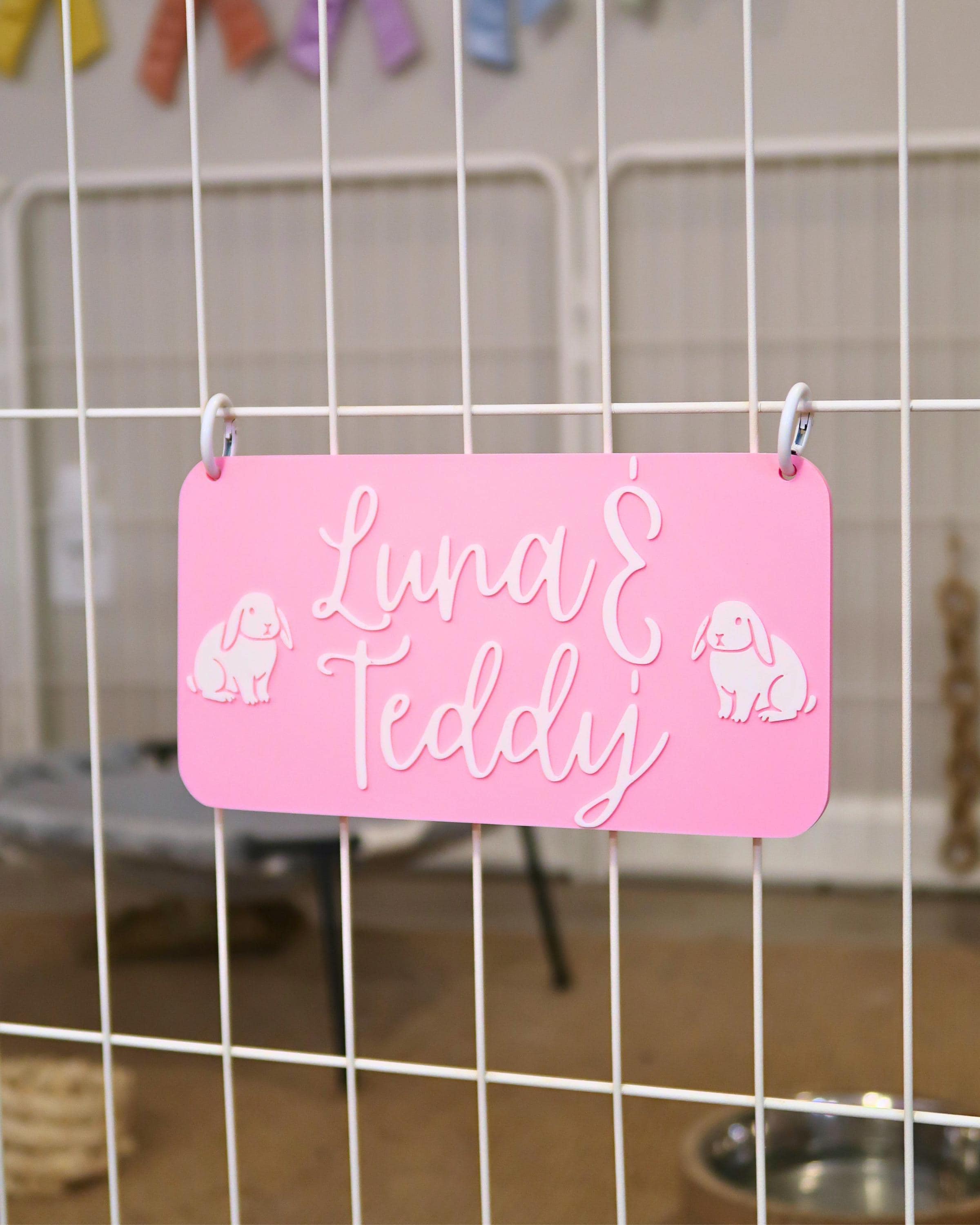 Name Sign For Rabbit Personalized Rabbit Name Tag | Custom Bunny Enclosure Sign - Etsy