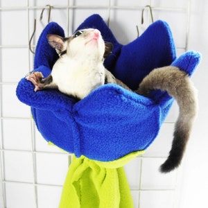 Sugar glider flower pouch