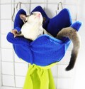 Sugar glider flower pouch product logo