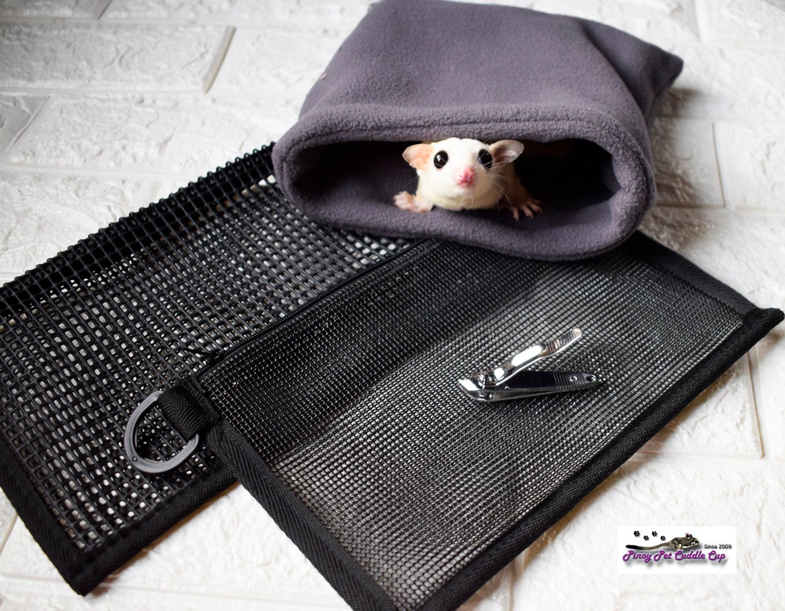 Sugar Glider Nail Trimming Kit Etsy
