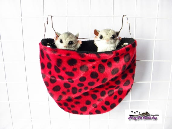 Sleeping pouch cheap sugar glider