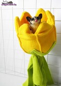 Sugar glider, rat, small pets yellow flower pouch product logo