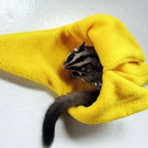 Sugar glider banana cage pouch