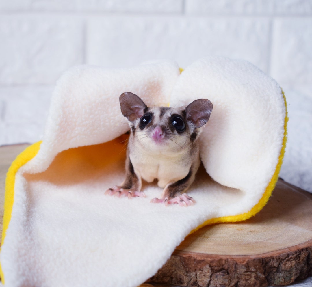 Sleeping Bags Sugar Glider Pouches Near Me Soft Cotton Hanging Hammock For Sugar  Gliders Sugar Glider Pouch, image size:1080x994
