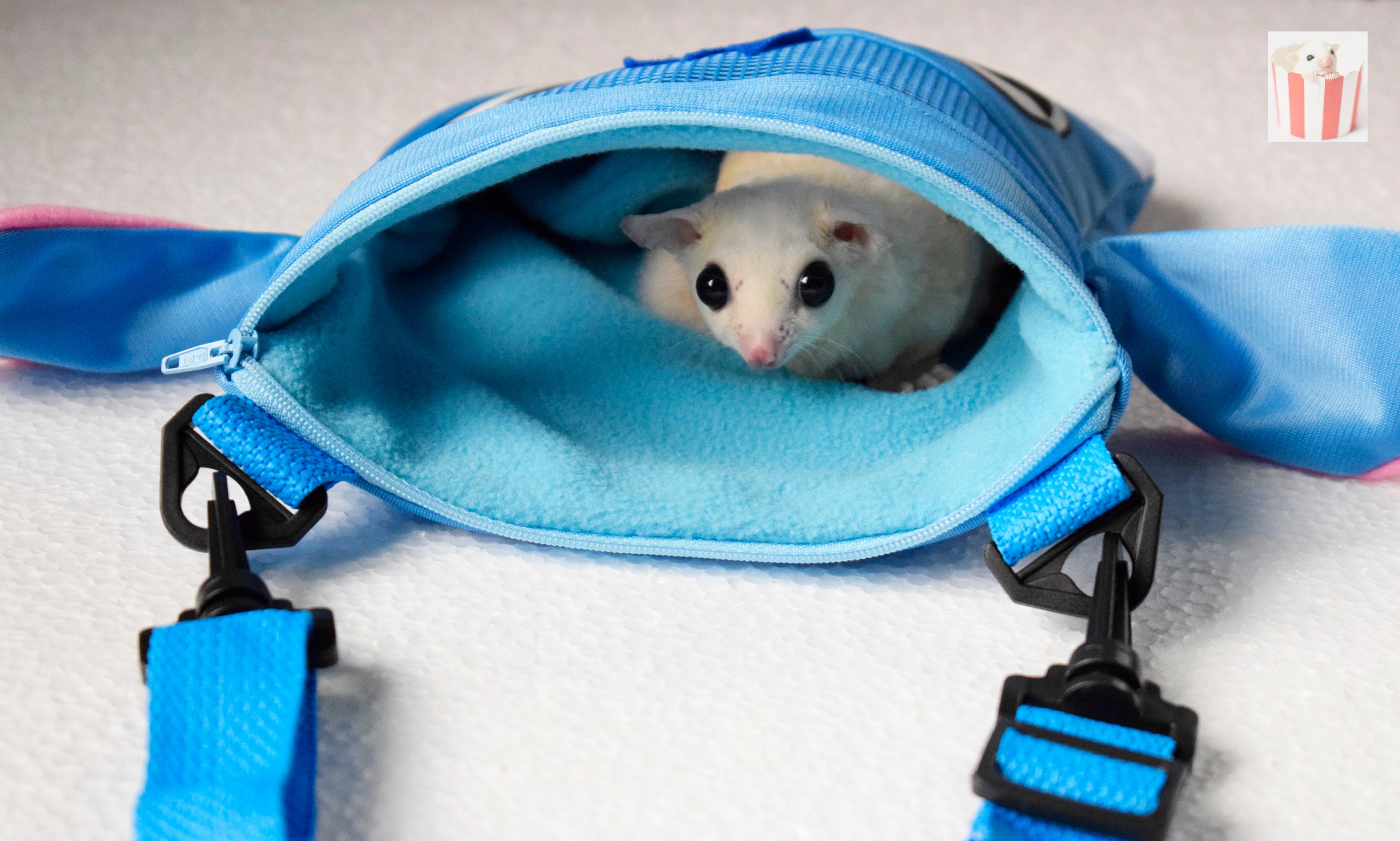 Sugar Glider Bonding Pouch - Etsy