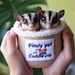 PinoyPetCuddleCup store logo