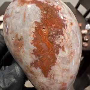 May include: A polished, oval-shaped stone with a swirling pattern of red, orange, and brown hues against a white and cream background. The stone's surface is smooth and reflective, showcasing natural geological formations.