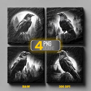 Op de afbeelding: Vier vierkante zwart-witte ravenontwerpen. Elk ontwerp toont een raaf die op een boomstronk zit met een bos- en maanachtergrond. De tekst "4 PNG DESIGNS", "B&W" en "300 DPI" is ook zichtbaar.