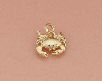 18 kt gold filled krabhanger, oceaanbedel voor sieraden maken, doe-het-zelfketting bedel hypoallergeen, handgemaakte levering