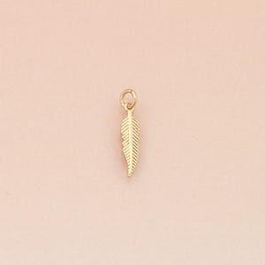 May include: A small, gold-coloured feather charm with a loop at the top for attaching to a necklace or bracelet. The feather has detailed lines running along its length, giving it a realistic appearance. The charm is displayed against a soft pink background.