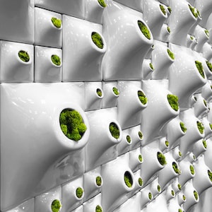 Custom Moss Wall Art, Price / Sq Ft, Modern Greenwall, Wall Sculpture, Plant Wall, Biophilic Wall Decor, Corporate Art, Ceramic Planter, WD