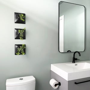 Op de afbeelding: Een wit toilet met een zwart toiletbril, een witte toiletrolhouder met een witte toiletrol, een wit badkamerwasbak met een zwarte kraan en drie zwarte wandplanters met groene planten.
