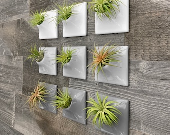 3&quot; Gray Wall Planter, Extra Small, Modern Air Plant Holder, Air Plant Wall, Living Wall Decor, Moss Wall Art, Indoor Outdoor Ceramic Planter