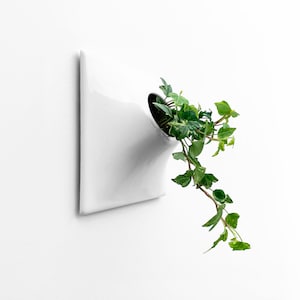 6&quot; White Wall Planter, Small, Modern Indoor Outdoor Ceramic Planter, Plant Wall Art, Mid Century Modern Wall Sculpture, Home Office Decor