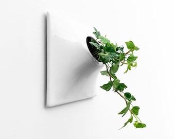 6&quot; White Wall Planter, Small, Modern Indoor Outdoor Ceramic Planter, Plant Wall Art, Mid Century Modern Wall Sculpture, Home Office Decor