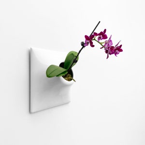 May include: A white ceramic wall-mounted planter with a square base and a protruding cylindrical opening. A single orchid plant with vibrant magenta flowers and green leaves is positioned inside the planter, extending outward from the wall.