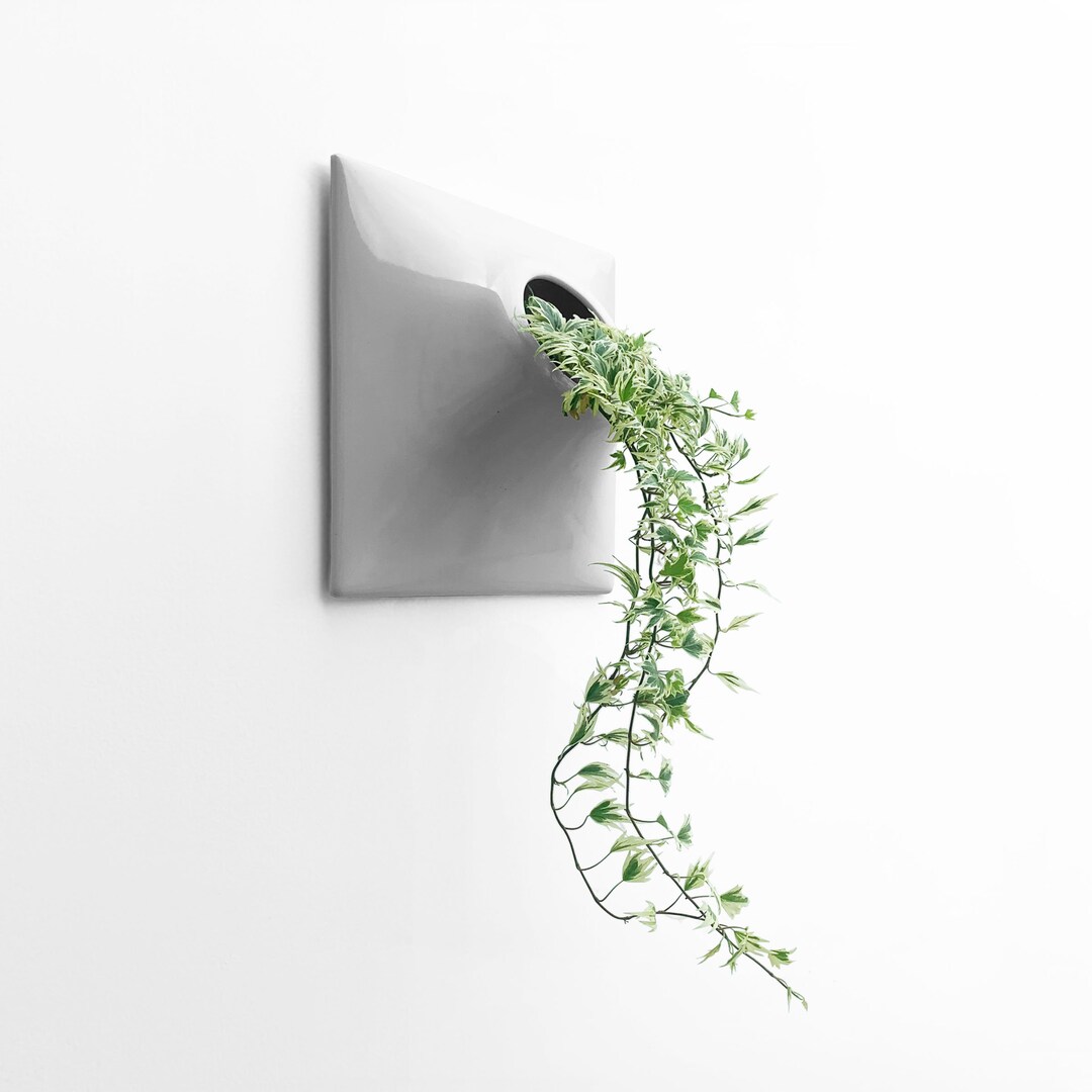 Illustration of Modern Textured Wall Planters For Large Gardening Spaces