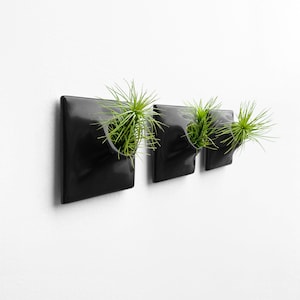 3&quot; Black Wall Planter Set, X Small Modern Air Plant Holder, Indoor Outdoor Ceramic Planter, Modern Wall Decor, Plant Wall Art, Moss Wall Art