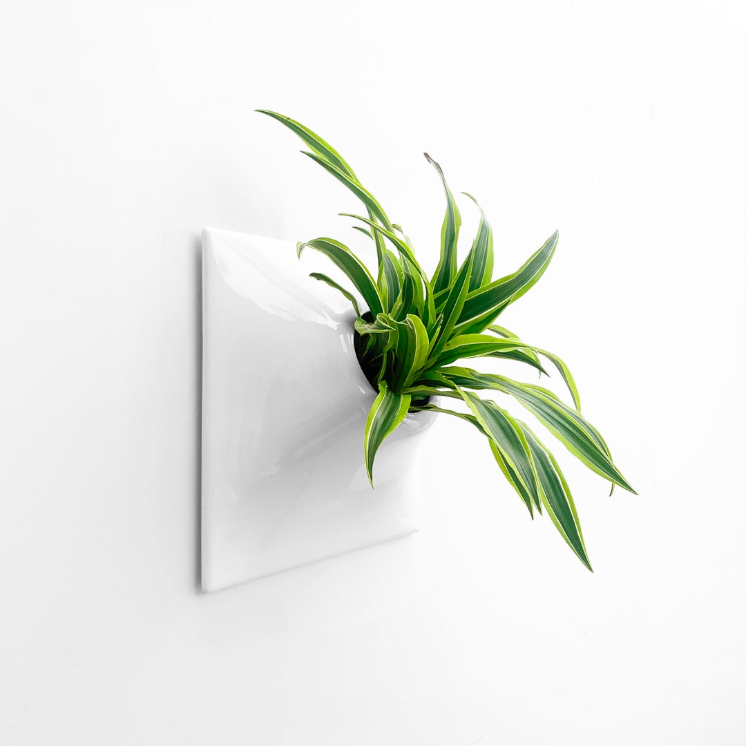 Modern White Wall Planter, 15 X Large Indoor Outdoor Ceramic Planter