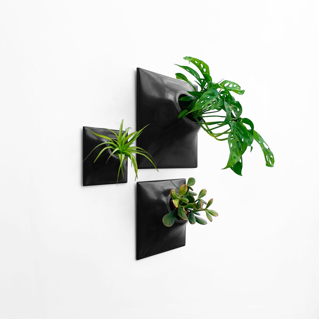 Modern Black Wall Planter Set, Plant Wall Art, Mid Century Modern Wall