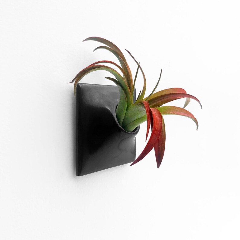 Modern Black Wall Planter 3 X Small Air Plant Holder Etsy