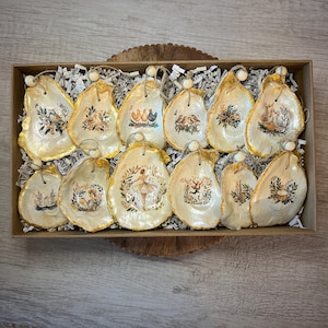 Op de afbeelding: Een set van twaalf decoratieve oesterschelp ornamenten. Elke schelp is beschilderd met een unieke vintage-stijl illustratie en afgewerkt met goudverf. De ornamenten worden gepresenteerd in een rechthoekige doos met gescheurd papier.