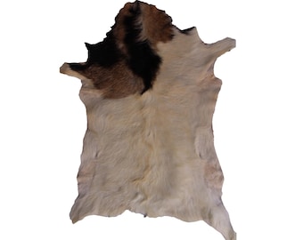 Real Goatskin Rug White Brown : tanned leather hide , Rug For Living Room , Unique Goatskin , one of a kind,Rustic Chic Natural Home Accent