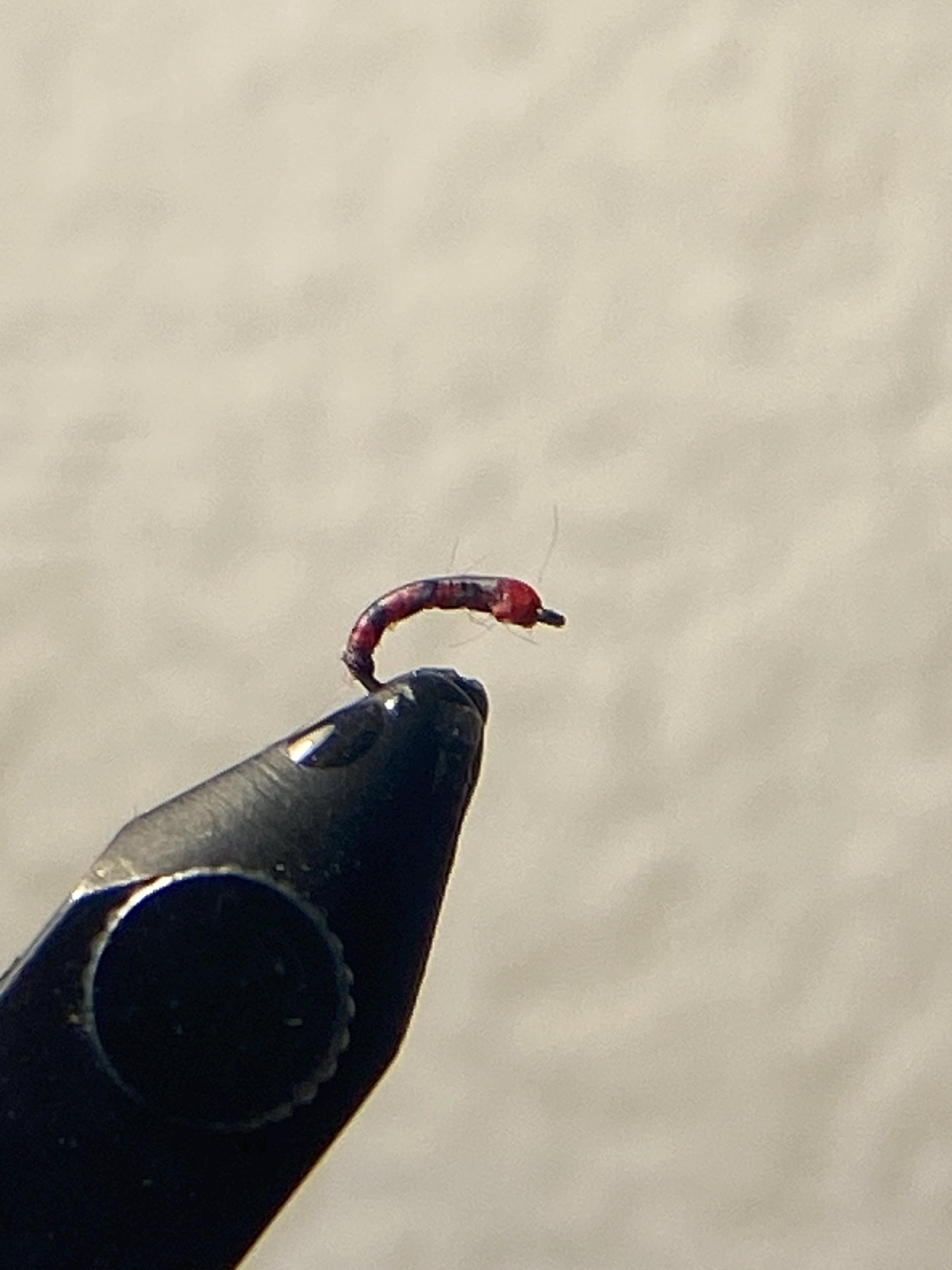 Demon Midge Fly Fishing Fly