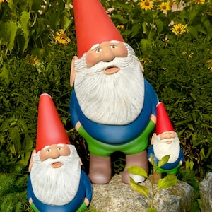 May include: Three garden gnomes of different sizes. Each gnome features a red pointed hat, a white beard, and a blue and green outfit. The gnomes are positioned on a rock in a garden with yellow flowers and green foliage.