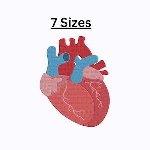 Anatomical Heart Embroidery Design: Realistic Human Heart Pattern (Instant Download