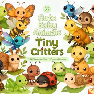 Tiny Critters Clipart, Baby Animal PNG Bundle, Cute Butterfly Bee Snail Spider Watercolor, Bug Nursery Art, Forest Bugs, Garden Printable