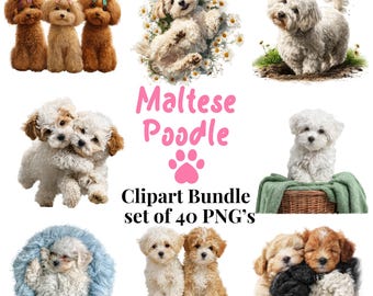 40 op Maltese poedel geïnspireerde png-clipartbundel