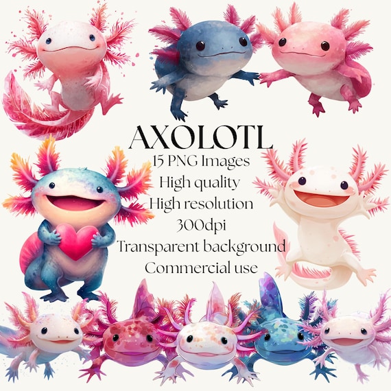 Watercolor Axolotl Clipart Bundle: High-Resolution PNG Images (Digital Download)