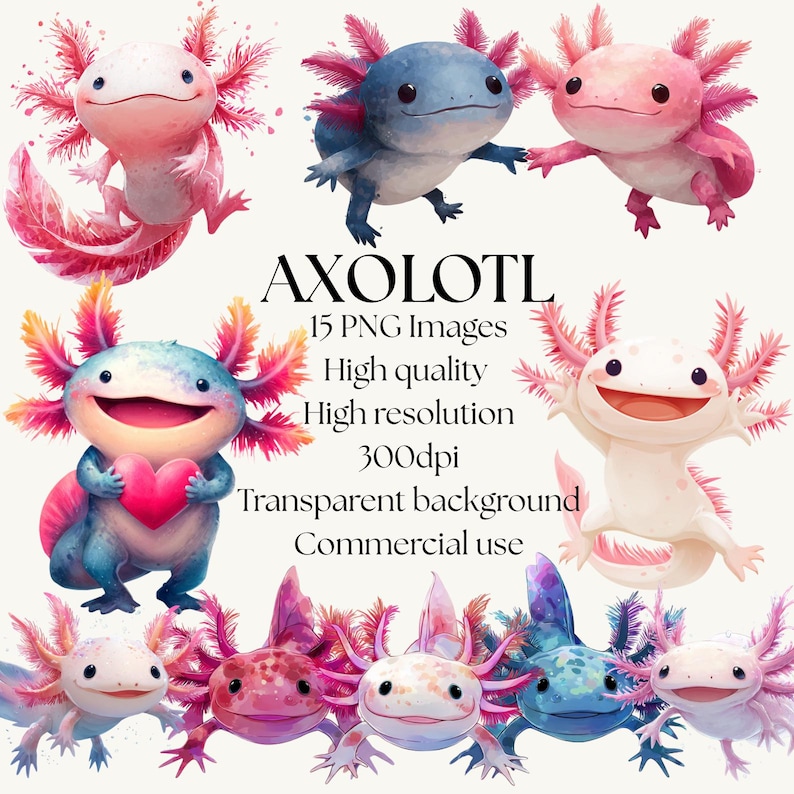 Op de afbeelding: Een verzameling aquarel illustraties van axolotls in verschillende kleuren, waaronder roze, blauw en wit. De afbeelding bevat de tekst "AXOLOTL" en details over de PNG-afbeeldingen, zoals hoge kwaliteit, hoge resolutie, 300 dpi, transparante achtergrond en commercieel gebruik.