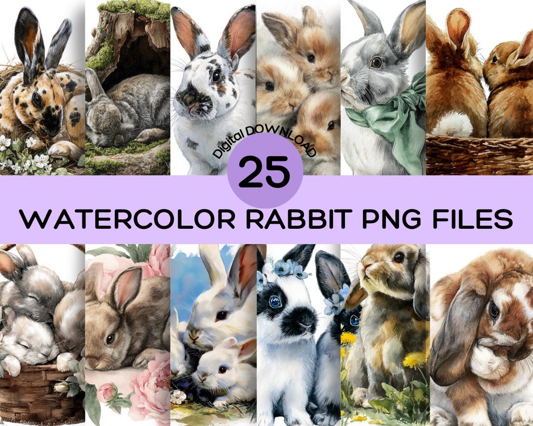 Watercolor Rabbit Clipart PNG: 25 Bunny Illustrations (digital Download ...