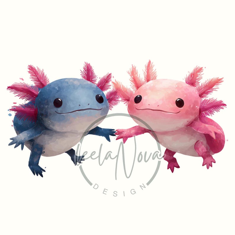 Op de afbeelding: Waterverfillustratie van twee axolotls, &eacute;&eacute;n blauw en &eacute;&eacute;n roze, die elkaars hand vasthouden. De axolotls hebben veervormige kieuwen in roze en paarse tinten. De afbeelding heeft een zachte, artistieke stijl met een witte achtergrond. De tekst "Keela Nova Design" staat rechtsonder.
